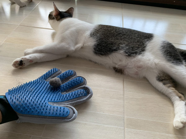 ถุงมือแปรงขนใหม่สุดปี2019 335ปุ่ม - Image 2