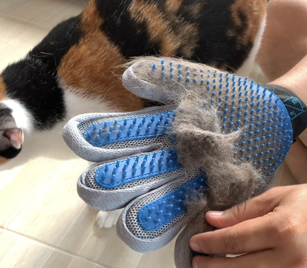 ถุงมือแปรงขนใหม่สุดปี2019 335ปุ่ม - Image 3