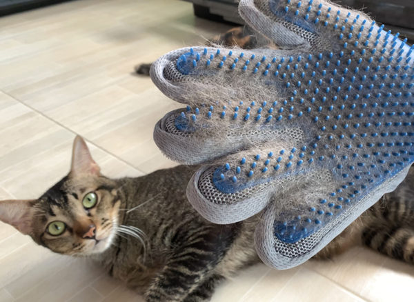 ถุงมือแปรงขนใหม่สุดปี2019 335ปุ่ม - Image 4